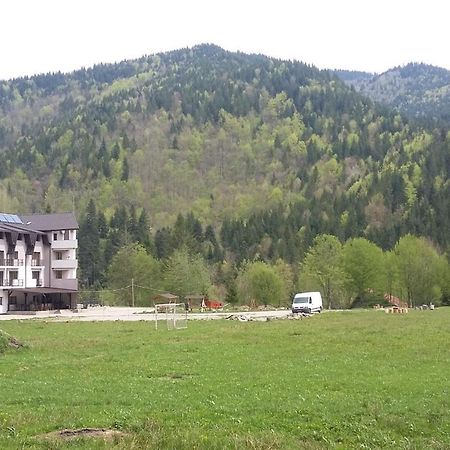 Pensiunea Poiana Soarelui Brates Exterior foto