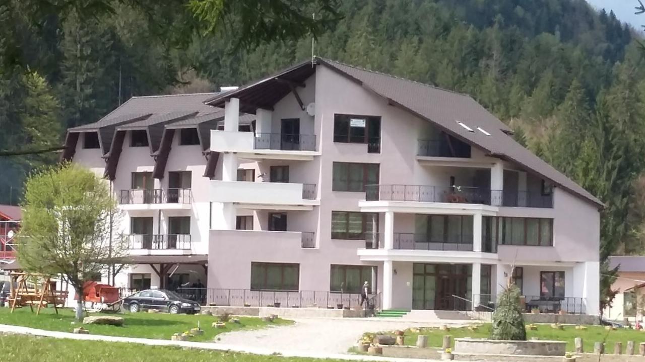 Pensiunea Poiana Soarelui Brates Exterior foto