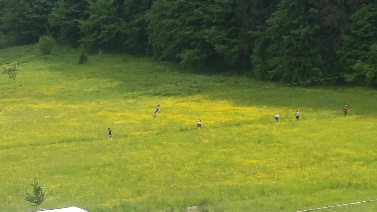 Pensiunea Poiana Soarelui Brates Exterior foto